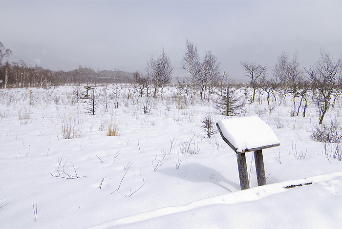 nikko senjogahara moor winter